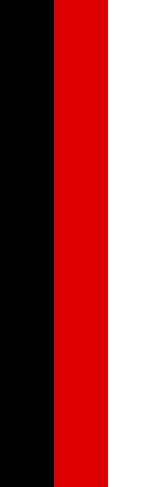 Drapeau Large Memminger portrait de 1.35m² pour mât extérieur