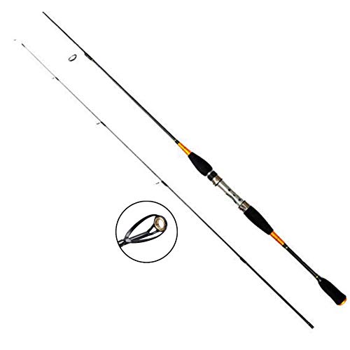 GWFISH Caña Telescopica Surfcasting Casting, Tiro Largo Caña de Pescar Aparejo de Pesca de Carbono Rockfishing Carpfishing Spinning Mar,2.1M