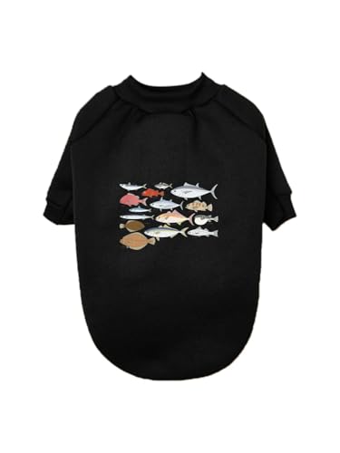   ybg hbOEFA ̕ L ybgEFA h _炩 іh~   t@bV U ybgpi