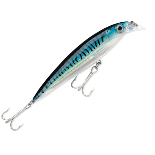 Rapala X-Rap Saltwater Fishing lure, 4-Inch, Silver Blue Mac...