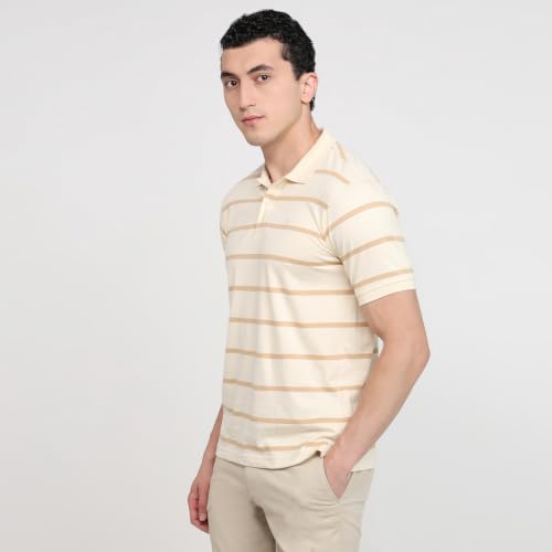 Image of Raymond Men Modern Fit Stripe Pattern Pure Cotton Polo Neck Half Sleeve Casual T-Shirt