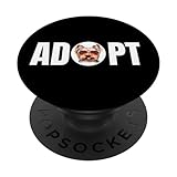 Adoptez une race de chien YorkShire Terrier célèbre l'amour et la joie que ces adorables chiots apportent dans nos vies