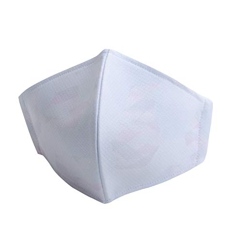 レワード(Reward) AC107 スカイブルー L 日本製 ファミリーマスク 野球ユニフォームメーカーが作った洗える立体布マスク 裏メッシュ 銀イオン効果(防臭/抗菌) 国内生産