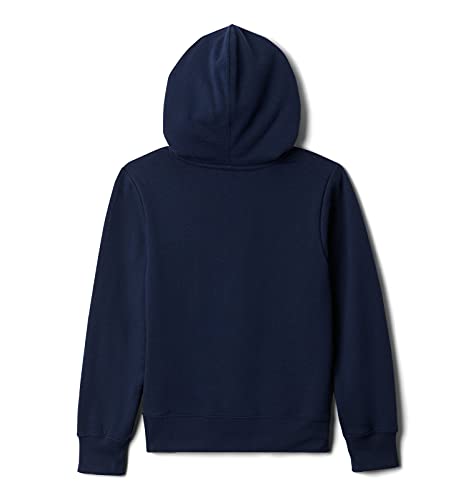 Columbia Youth Boys Pfg Graphic Hoodie, Black/Graphite Fish Flag, X-Small #TOP1