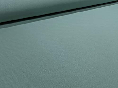 DESCONOCIDO RIVERO Tejidos. Tejido de loneta Lisa en Color Verde Agua nº 606 con 280 cm de Ancho. Se Vende por Metros. Ideal para la confección de Cortinas, manteles..