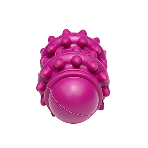 Brinquedo para Cachorro Hercules Xplore Cilindro Leite, GermanHart, Roxo, Único