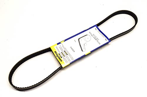 Courroie d'accessoire Goodyear 4050445 Gatorback Poly-V multipistes - 2