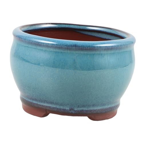 Happyyami Macetas De Cerámica para Suculentas Macetero Decorativo para Interior Macetero De Escritorio para Plantas Suculentas