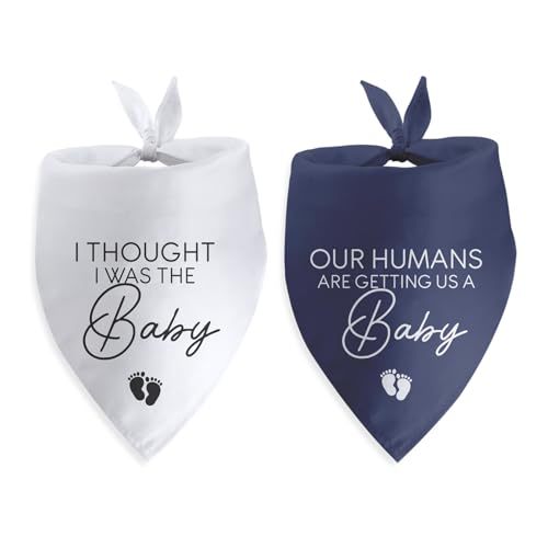 Our Humans are Getting us a Baby Dog o_i DP m点 Mtg 2pbN ^ ~fBA ^ ʔ\ Ԃ̂m点 ʐ^ ybg XJ[t ANZT[ NX}X q Mtg