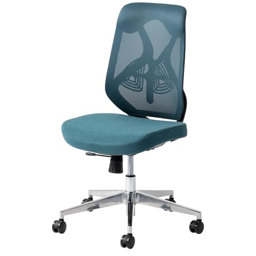 ItBXR ItBX`FA YS-1 IȂ bV`FA/z`FA o[T|[g _[Nu[(bV) OC-CHFB-NY03-MDBL