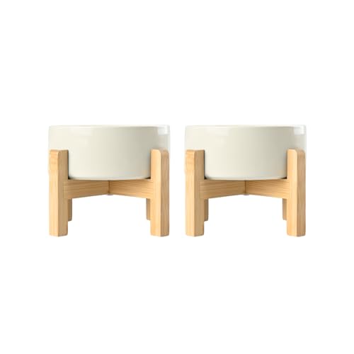 SPUNKYJUNKY Hundenapf Keramik Erhöhter Futternapf Set mit Bambus Ständer für Katzen und Hunde (400ml, Beige)
