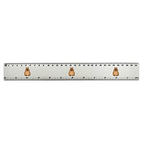 Azeeda 'Grumpy Capybara' 30cm (12 Inch) White Plastic Ruler (RL00068370)