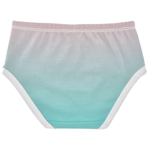 Blush Pink Turquoise Gradient Little Girl Panties Toddler Girls Underwear Cotton Animal Underpants Briefs 2t2