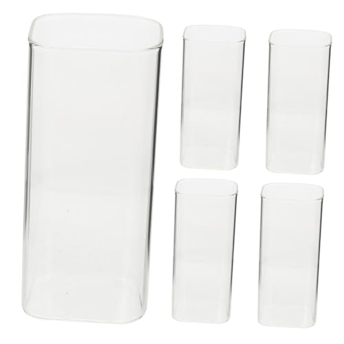 TOBBOMEY 5 ϔMKXJbv @\e W[X JNe r[Ή HpOX