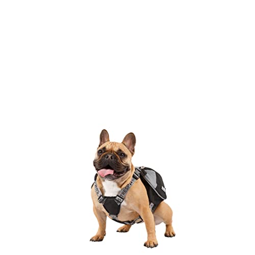 Harnais Snooper dog backpack pour les randonnées en ville - 5