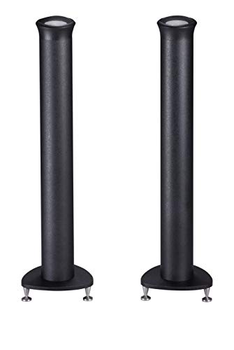 Amazon.co.jp: シロクマ タイムドメインライセンスモデルスピーカー