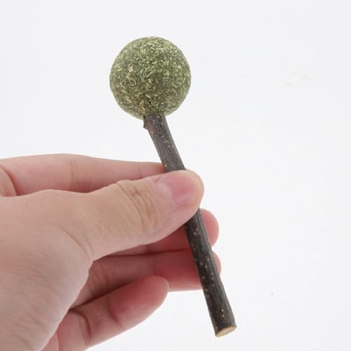 Image of cature Care by Nature Natural Cat Catnip Treat Balls,Pet Catnip Toys,Interactive Kitten Toys,Cats Playing,Cleaning Teeth,Chew Toy For Cat Toy.