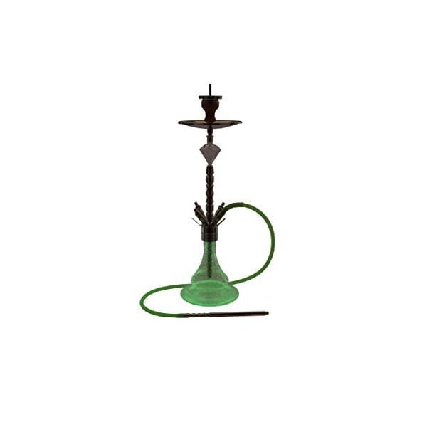 DIAMOND HOOKAH Premium Cape Shisha Set, Wasserpfeife Shisha Edelstahl Komplettset mit 4 Anschlüsse/Schläuche. 18/8…