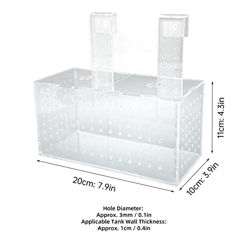 Écloserie d'aquarium transparente pour protéger les petits poissons de la prédation