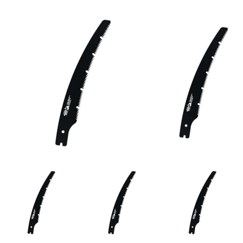 V(Takagi) V[N\[ ֐n Tt  J[u\[ ݖ tbf 270mm { ̂ mRM  Аn ւn ؂ hj S ؒf |  ʎ i (× 5)