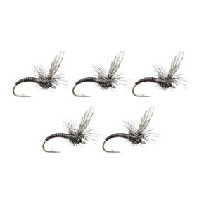 フライフィッシング　ルアー　釣り　洋書　写真集　Fishing 魚　アメリカ フライフィッシング ルアー 釣り 洋書 写真集 Fishing 魚