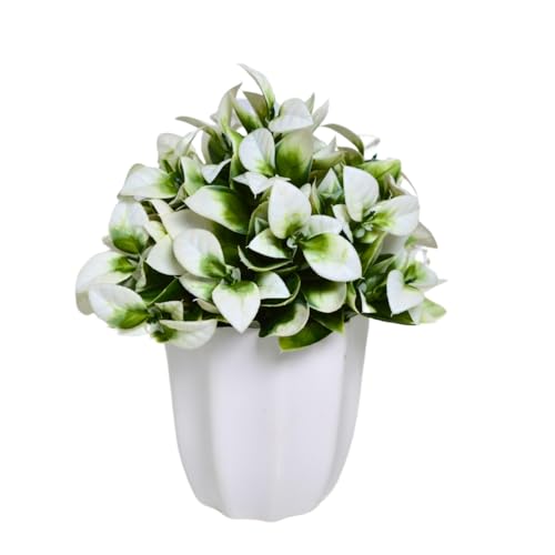 Image of fancymart Artificial Citrus Leaves White Bunch in Pot - 22 cm Height, Perfect for Tabletop Decoration | Ideal for Home & Office Decor