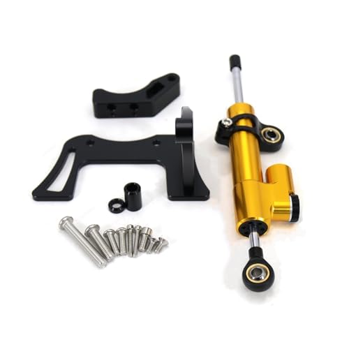 INLIMA Stabilizzatore Moto Regolabile per Dualtron per Thunder 2 ll Scooter Elettrico Stabilizzatore Kit smorzatore Accessori Sterzo Anti-Vibrazione Anti-Jitter (Color : C Set)