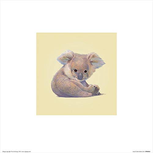 Il Gruppo Art John Butler Koala - Stampa Artistica 30 x 30 cm Carta Multicolore 30 x 30 x 1.3 cm