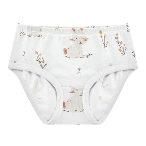 GuoChe Training Panties Underwear Moisture Wicking Breathable Toddler Underwear for Toddler in Sizes 2T,3T, 4T, 5T, 6Y and 8Y