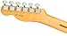 Fender American Professional II Telecaster - Butterscotch Blonde Bundle with Case, Strap, Cable, and Guitar Cleaning Kit