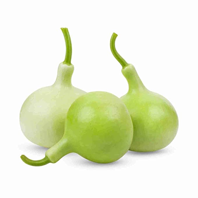 Kraft Seeds Bottle Gourd Round Improved (10Gm) Heirloom Vegetable Seeds Non-GMO (Variety Superb Vegetable Garden) (B09XMQMG9M) Amazon Price History, Amazon Price Tracker
