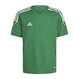 Adidas Boys Jersey (Short Sleeve) Tiro 23 League Jersey, Team Green/White, IC7483, 152