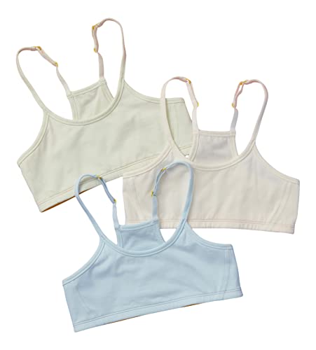 Willow Basics Collection Bra Bundle