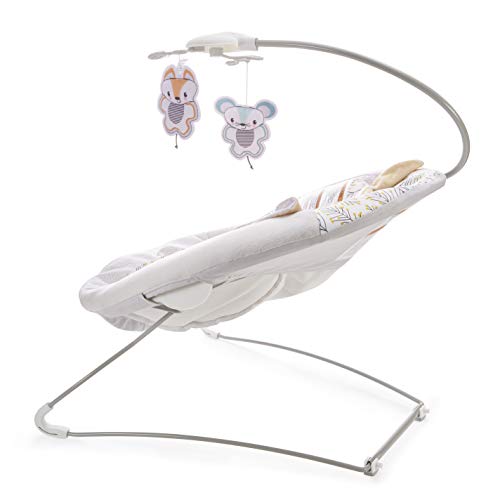fisher price fawn meadows bouncer
