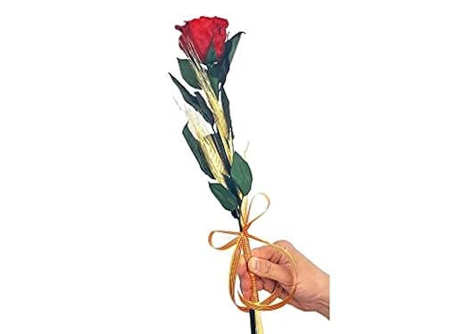 Mundo Eterno Rosa ETERNA Rojo 35CM Sant Jordi PRESERVADA | Ya disponible en tu tienda friki favorita! En mundofriki.es!