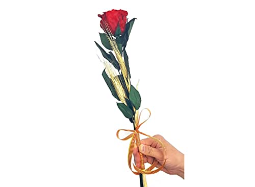 Mundo Eterno Rosa ETERNA Rojo 35CM Sant Jordi PRESERVADA