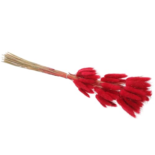 60 unidades de Hierba Cola de Conejo Secada Color Rojo miniatura 1