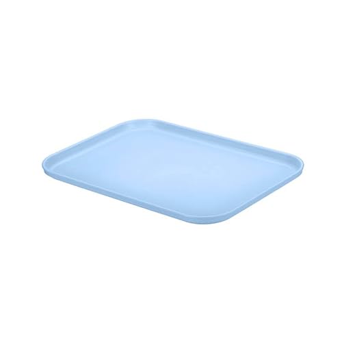 DINGlLIDINGHONG Fast Food Tray, Rectangular, Blue, Plastic, Recycled Material, Stackable, Matte, Food, Hand Wash, Dishwasher Safe