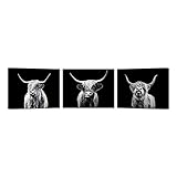 Kreative Arts 3pcs Black and White Texas Longhorn Wall Art Farm Animal Highland Cattle Canvas Picture Farmhouse Prints Photo Paintings Modern Home Decoration Each Size 12x16