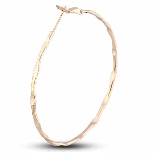 GKgȃH[OcCXgfUCʂȑ傫ȃIKobNt[vCO50mm