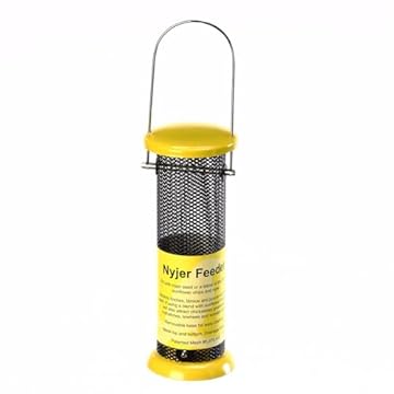 best bird feeders for yellow billed magpies