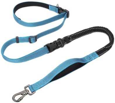 Bothyi Reflective Leash Multi Function Dog No Hands Traffic Two Dog with Shock Absorbing Bungee Adjustable Nylon with and Waist Belt Loop, Sky Blue, Width 2cm, Length 145-240cm - 1