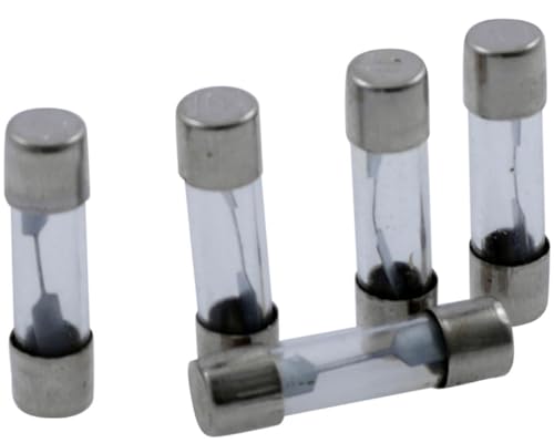 PW Fuse, Glas, 25mm, 10Amp, Durchsteckmontage, 5er Pack