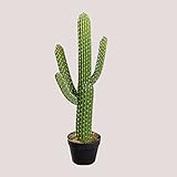 cactus saguaro comprar LAS ENTREGAS SE REALIZARÁN A PIE DE CALLE.