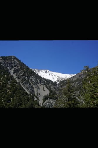 Windseer (Waterseer, Band 2)