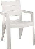  ALLIBERT Lot de Deux fauteuils Ibiza Blanc