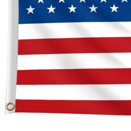 Estandarte Antiguo de Irán 150x240 cm de Alta Resistencia para Despachos y Oficinas 8