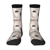 ♥ I migliori regali ---- Design personalizzato, questi calzini da squadra sono il complemento ideale per le tue gonne o pantaloncini preferiti, adatti per la maggior parte delle occasioni della vita quotidiana. Ottimo per il Ringraziamento, compleanno, festa della mamma, festa del papà, Halloween, Natale, tutti gli sciocchi Giorno,St. Regalo per le vacanze di San Valentino, Pasqua ecc.