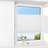 Plissee ohne Bohren Plissees Klemmfix Weiß 60x130cm(BxH), Plisseerollo Faltrollo mit Klemmträger, Jalousie Rollos für Fenster und Tür