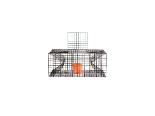 Lester's Crawfish Trap, 14 Gauge Marine Wire Mesh, 30x11x10 Inch, 2 Entry Points, with 1/2 Liter Orange Bait Jar